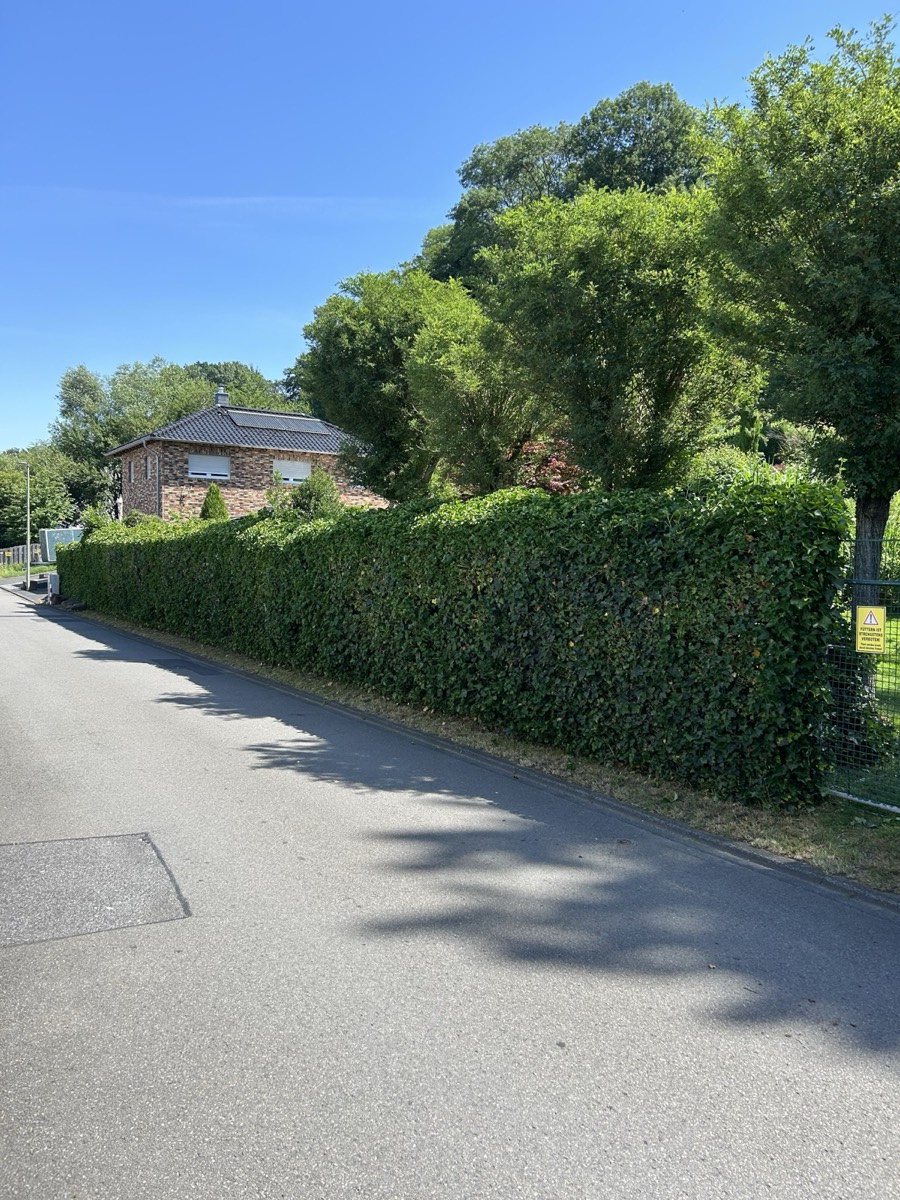 Frisch geschnittene Hecke einer von NOBA betreuten Außenanlage in Köln