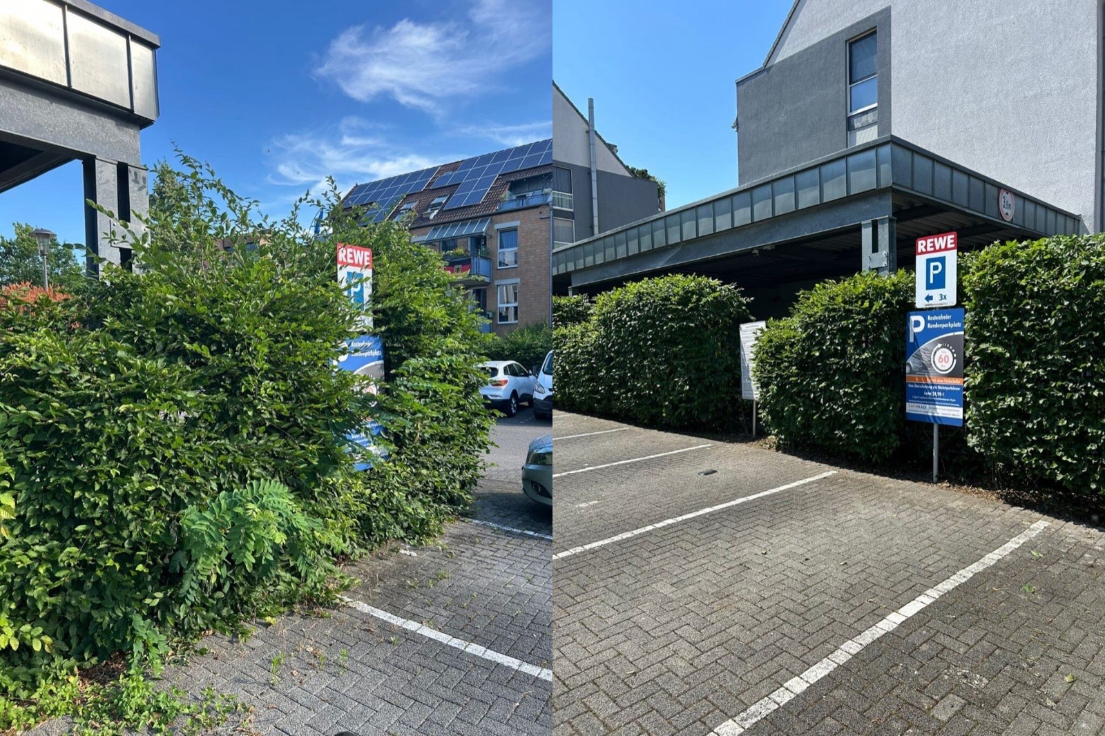Zugewachsener Parkplatz vor der Grünpflege